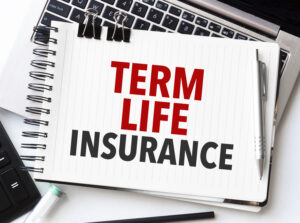 termlifeinsurancebrianswerdlow